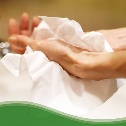 Egy személy szárítja a kezét a Kimberly-Clark GmbH Hostess™ NATURA™ hajtogatott fehér kéztörlőivel. A homályos háttér és a zöld, hullámos szegély kiemeli a termékhez illő papírtörlőket nyilvános mosdók számára.