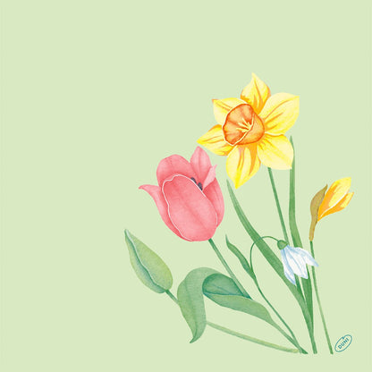 Rózsaszín tulipán, sárga nárcisz, kis fehér virág és sárga bimbó illusztrációja világoszöld háttéren - ideális a Duni GmbH 40x40 cm-es Bio-Dunisoft szalvétájához.