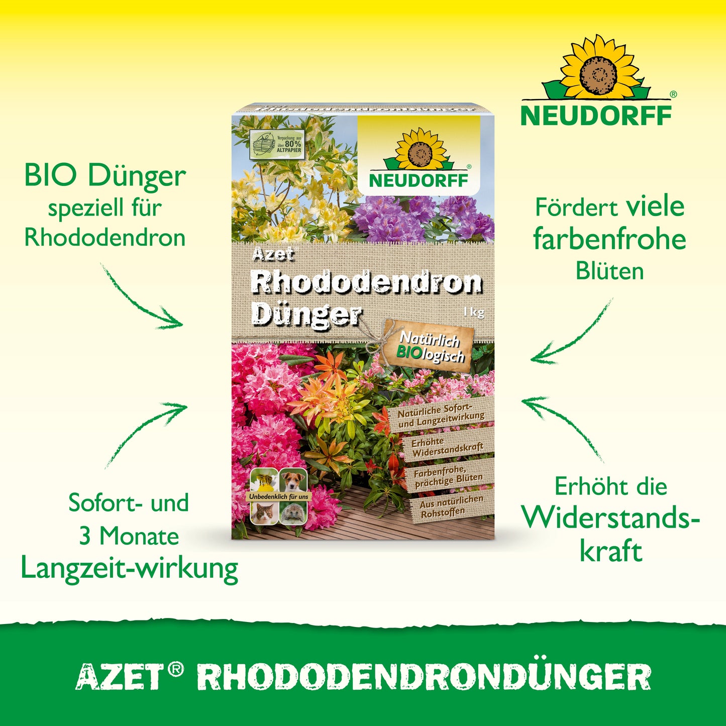 Abgebildet ist eine Schachtel Azet RhododendronDünger von Neudorff Shop mit leuchtenden Rhododendren und Azaleen auf der Verpackung und der organischen Volldünger-Formel für eine gesunde Blüte mit Sofort- und Langzeitwirkung.