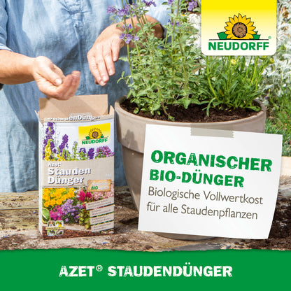 Eine Person streut Neudorff Shop Azet StaudenDünger auf die Erde in einem großen Gartentopf mit blühenden Stauden. Die Produktverpackung und ein Schild, das für organischen Dünger für Stauden wirbt, sind sichtbar.