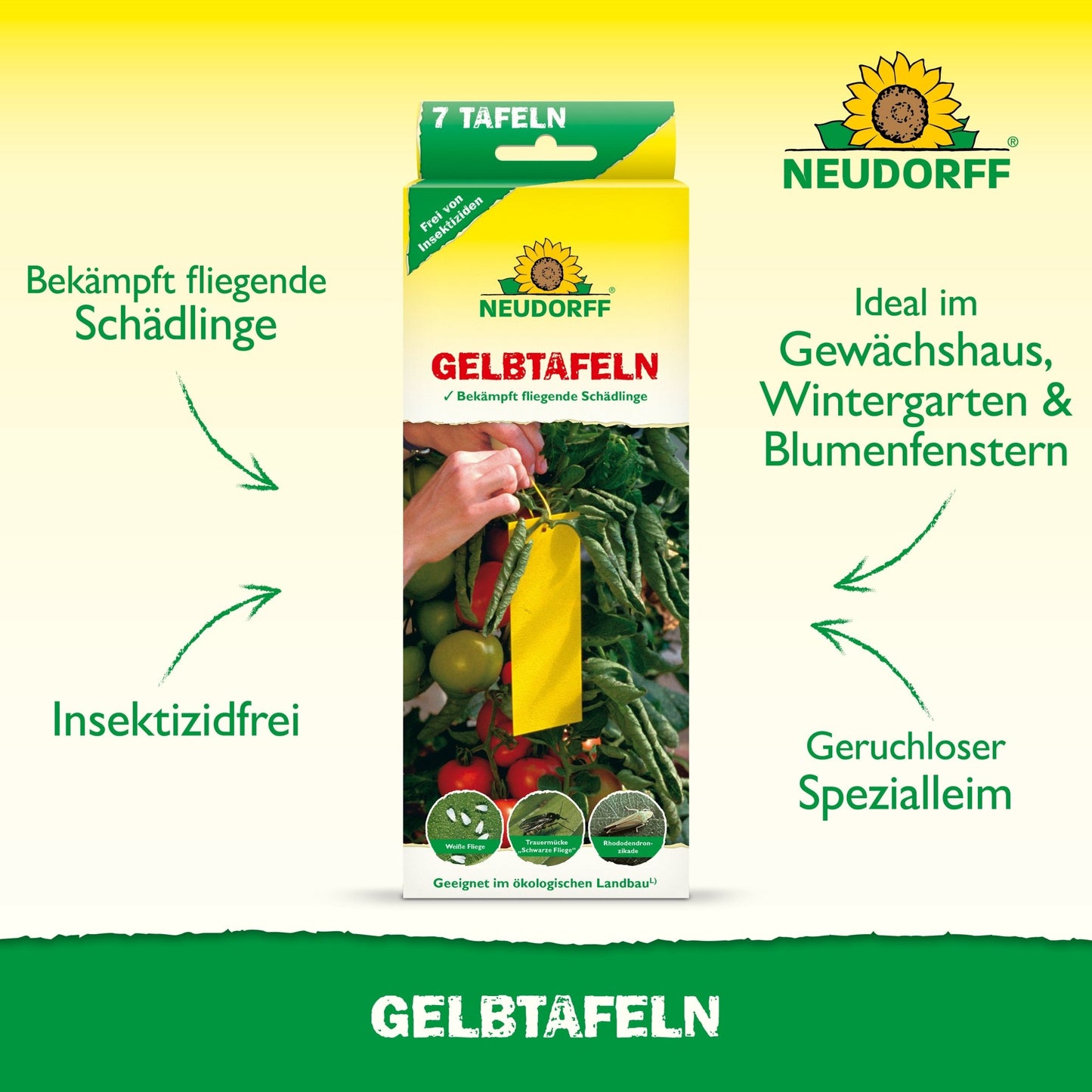 Egy téglalap alakú doboz "Gelbtafeln (kis méretű)" felirattal a Neudorff Shoptól, amely sárga ragacsos csapdát mutat a paradicsomok között. Rovarirtó mentes, ideális üvegházakhoz és virágablakokhoz, és a gombalegyek és liszteskék ellen irányul.