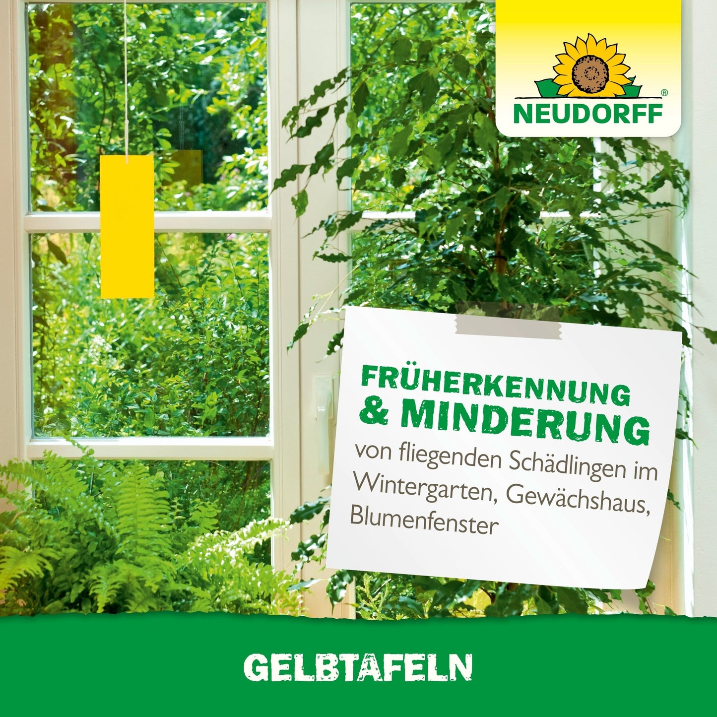 Egy világos szoba nagy ablakokkal, zöld növényekkel és egy sárga ragacsos csapdával a Neudorff Shop Gelbtafeln (kis méretű) kínálatából. Egy tábla hirdeti a repülő növényi kártevők, mint a gombalegyek és liszteskék korai felismerését és csökkentését. A Neudorff-logó látható.