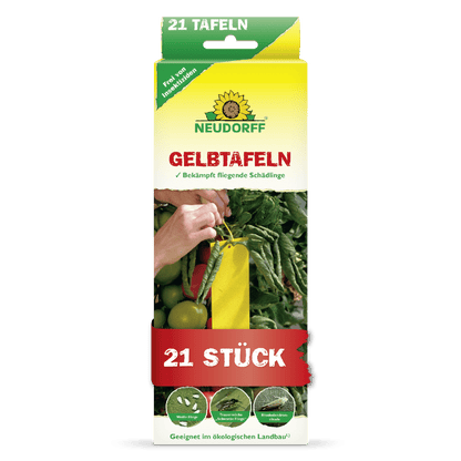 Egy téglalap alakú doboz a Neudorff Shop Gelbtafeln (kis méretű) kínálatából, amely egy kezet mutat, amint sárga ragacsos csapdát helyez el paradicsomok között. A 21 darabos csomag a liszteskék és gombalegyek ellenőrzésére szolgál, és alkalmas az ökológiai gazdálkodásra.