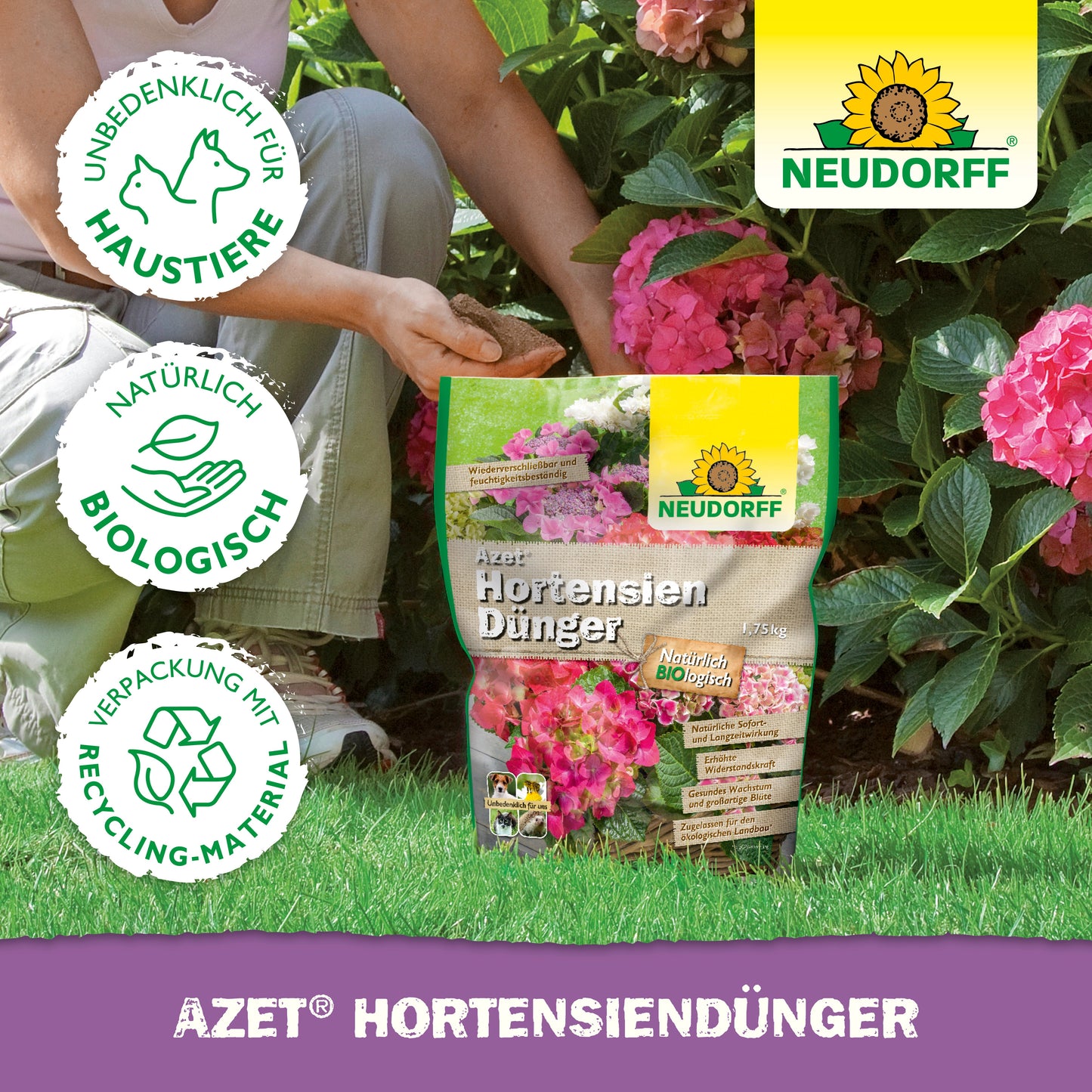Eine Person kniet im Garten mit dem Azet HortensienDünger des Neudorff Shops und bereitet sich darauf vor, ihre Hortensien zu füttern, damit sie prächtig blühen.