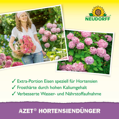 Egy nő egy kosarat tart rózsaszín hortenziákkal egy kertben. A közelben virágzó hortenziák láthatók. A Neudorff Shop Azet HortensienDünger folyékony formáját gyönyörű, egészséges virágok termesztésére ajánlják.