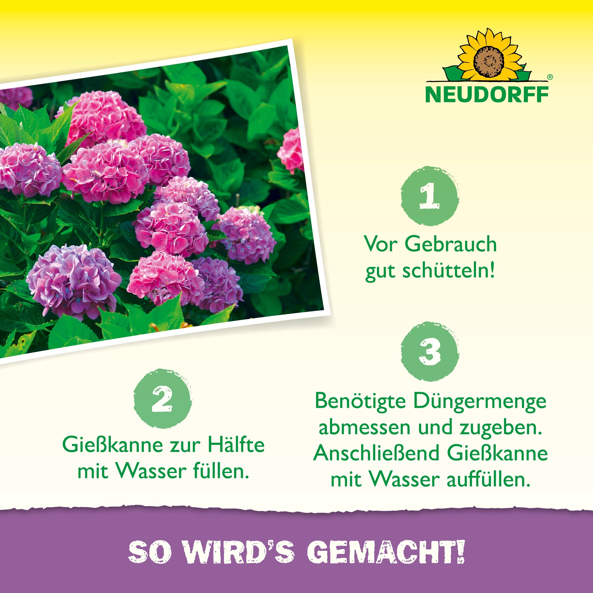 Eine Lehrgrafik aus dem Neudorff Shop zeigt links rosa Hortensien und rechts eine Schritt-für-Schritt-Anleitung, wie Azet HortensienDünger flüssig in drei Schritten gemischt wird, vor einem Hintergrund mit gelbem Farbverlauf.