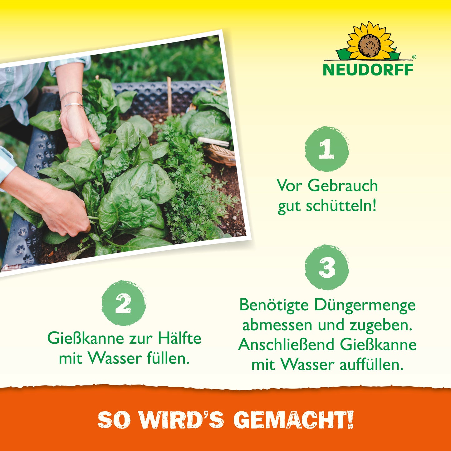Eine Person trägt mit einer Gießkanne Azet HochbeetDünger flüssig aus dem Neudorff Shop auf grüne Blattpflanzen in einem Hochbeet auf. Abgebildet sind die Zubereitungsschritte für die Nährstofflösung und das Neudorff-Logo, inklusive deutscher Anleitung.
