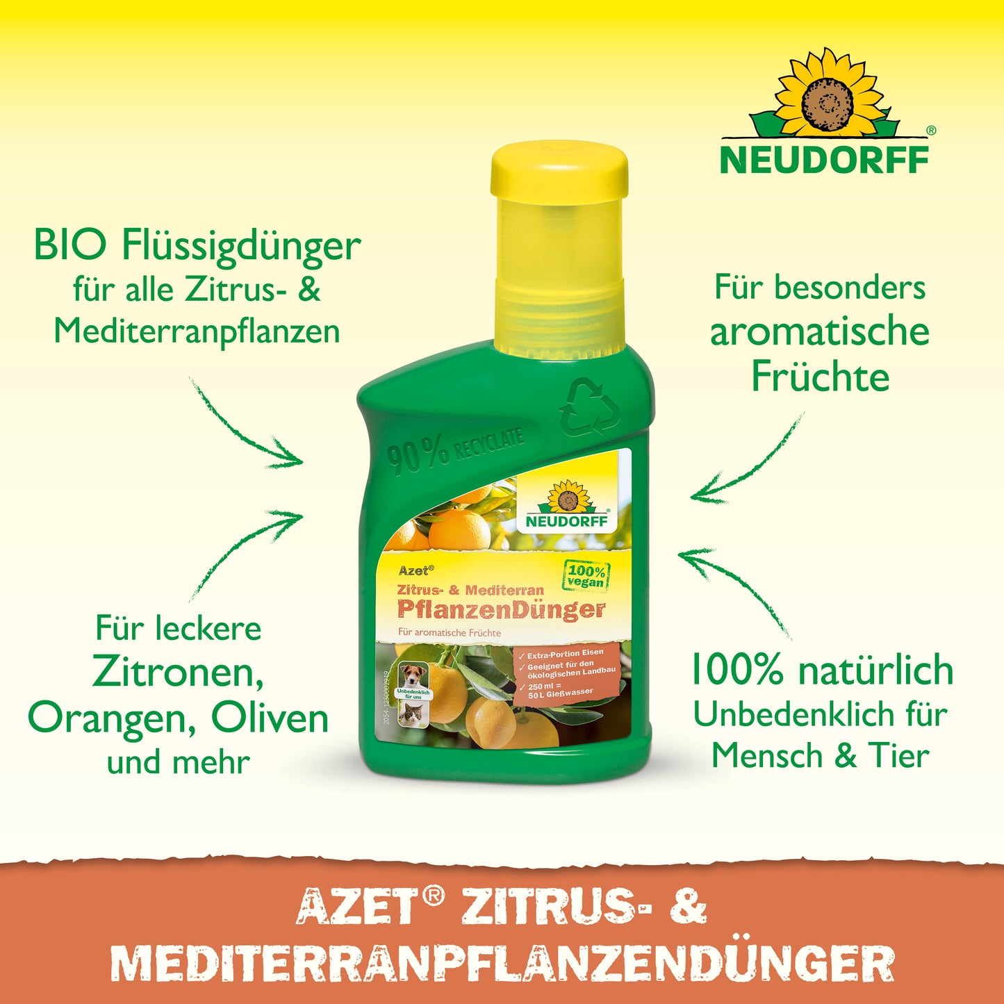 Eine grüne und gelbe Flasche von Neudorff Shop Azet Zitrus- & MediterranpflanzenDünger flüssig mit deutschem Text wirbt für seine Bio-Formel, ideal für mediterrane Pflanzen wie Zitrus und Oleander.