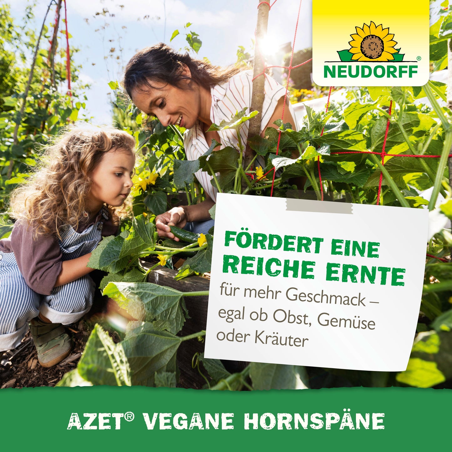 Ein Erwachsener und ein Kind gärtnern zwischen grünen Pflanzen. Ein Schild mit deutschem Text wirbt für die Azet Vegane Hornspäne von Neudorff Shop für reiche Ernten von Obst, Gemüse oder Kräutern. Das Neudorff-Logo befindet sich in der oberen rechten Ecke.