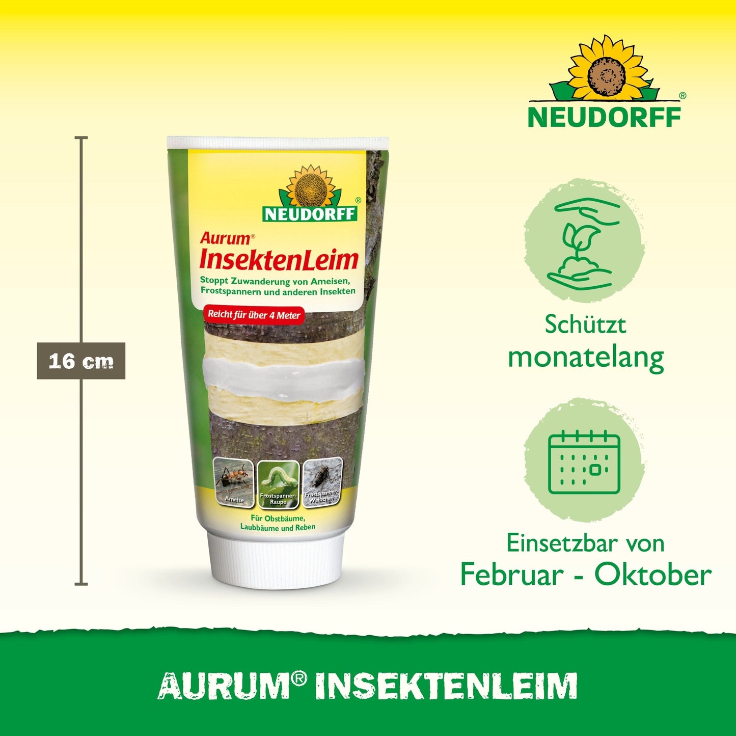 Egy 16 cm-es tubus Neudorff Shop Aurum InsektenLeim van ábrázolva. A csomagolás kiemeli a gyümölcsfák hosszú távú védelmét a kártevőktől, mint például a fagyöngy és a hangyák, amely februártól októberig alkalmazható, zöld szimbólumokkal jelölve a hatékonyságot.