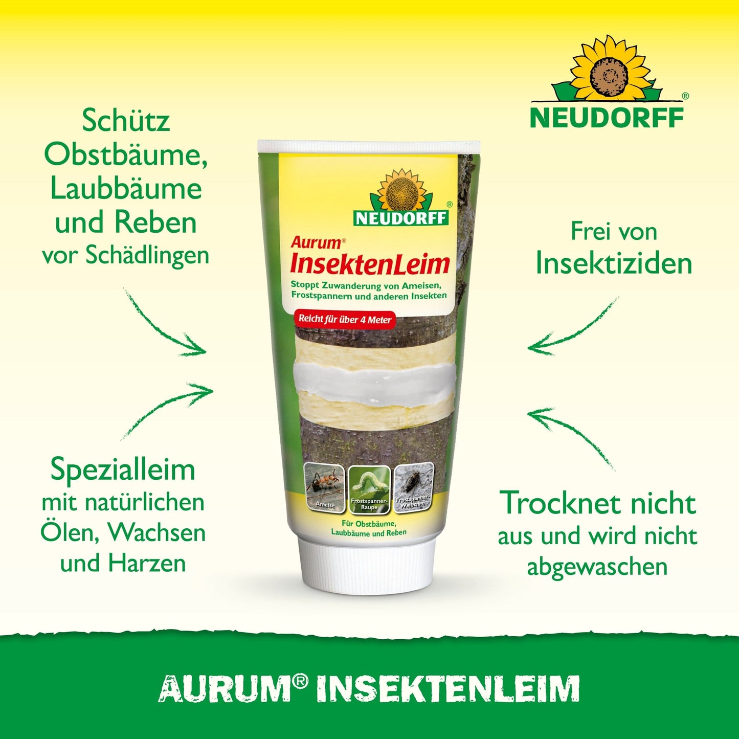 Egy tubus Aurum InsektenLeim a Neudorff Shopból áll függőlegesen, és német szöveget tartalmaz a gyümölcsfák hangyáktól és téli molylepkéktől való védelméről. A zöld-sárga háttéren felül látható a Neudorff logó.