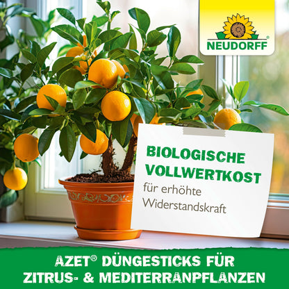 Egy cserépben lévő citrusfa érett narancsokkal áll egy ablakpárkányon. Egy német tábla hirdeti a Neudorff bolt Azet műtrágyapálcikákat citrus- és mediterrán növényekhez, ideális mediterrán konténernövényekhez, az ellenálló képesség erősítésére és bio-táplálékhoz.