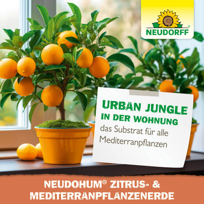 NeudoHum citrusfélék és mediterrán növények talaja