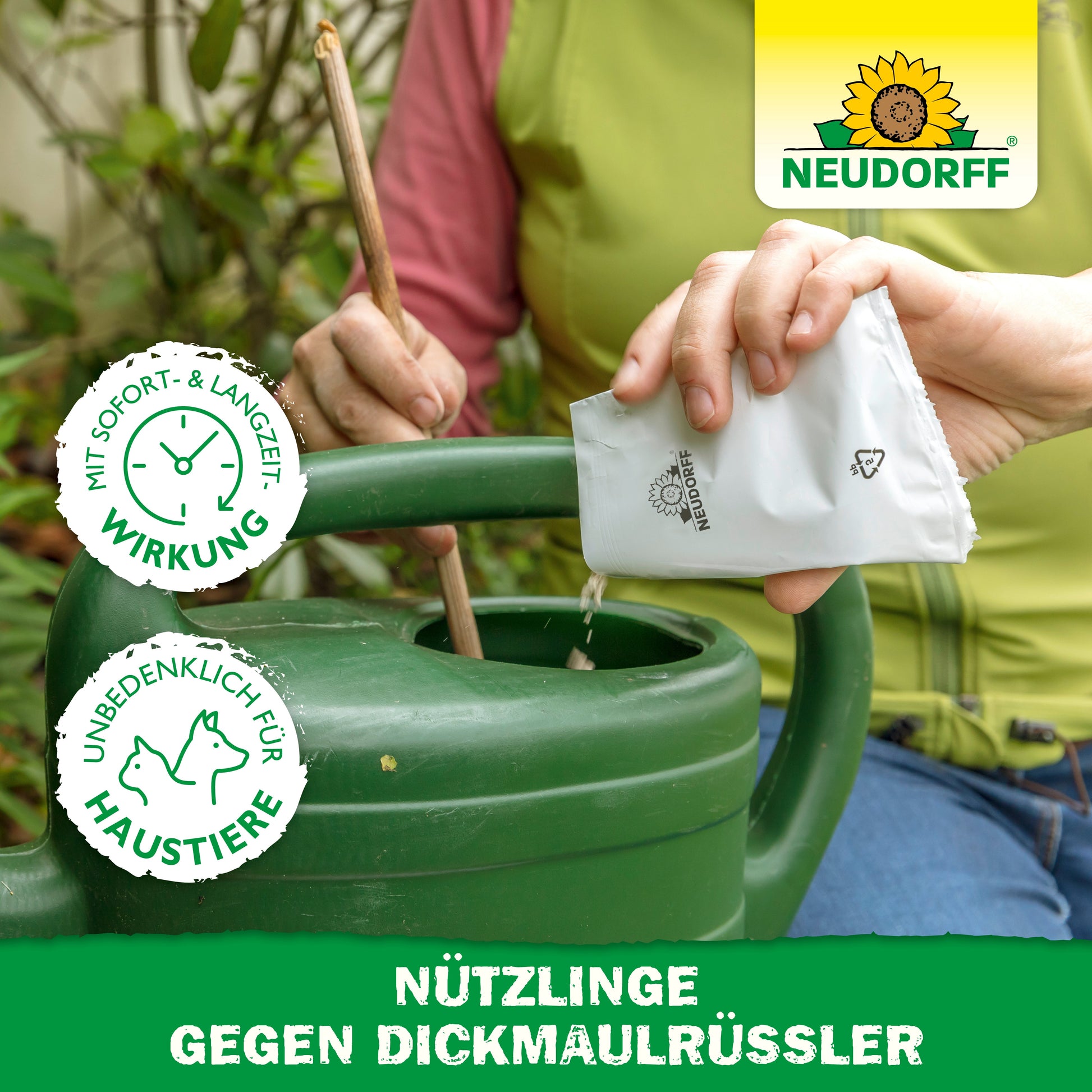 Eine Person schüttet ein weißes Päckchen in eine grüne Gießkanne im Freien. Das Bild zeigt einen deutschen Text und eine Grafik für die haustiersicheren "Nützlinge gegen Dickmaulrüssler" von Neudorff Shop, die gegen den Reblausbefall mit Nematoden wirken.