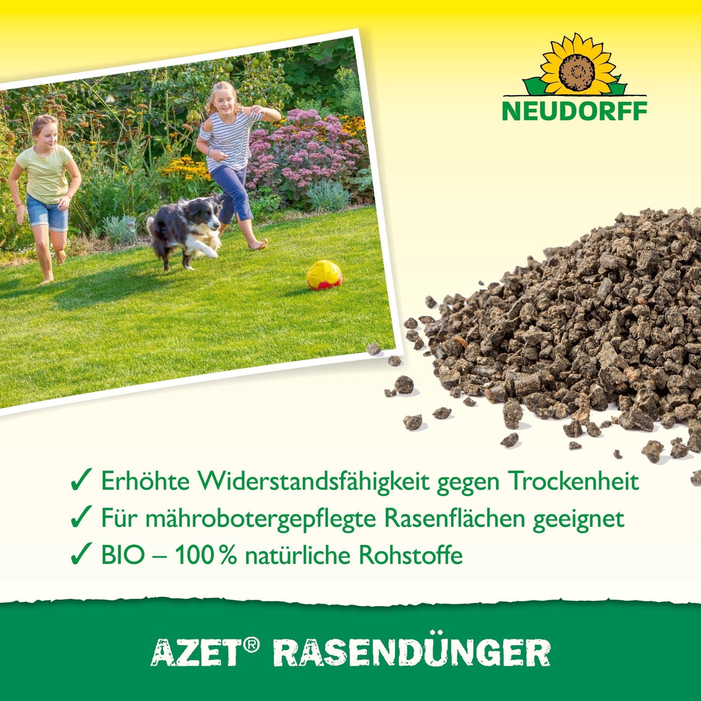 Egy fotó két gyerekről és egy kutyáról, akik fociznak a dús gyepen, egy Neudorff Shop Azet gyeptrágya 2,5 kg-tól 5 kg-ig terjedő zsák mellett. A szöveg kiemeli a sűrű gyepszőnyeg előnyeit; a Neudorff logó a jobb felső sarokban jelenik meg.
