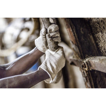 NITRAS pamut jersey kesztyű, természetes pamut jersey | Csomag (12 pár)