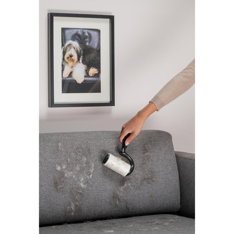 A 3M Deutschland GmbH Scotch-Brite™ Everyday Clean szöszeltávolító lapos felületekre (56 lap, 1/csomag) termékkel valaki állatszőrt távolít el egy szürke szövetkanapéról, egy kutyás fénykép alatt.