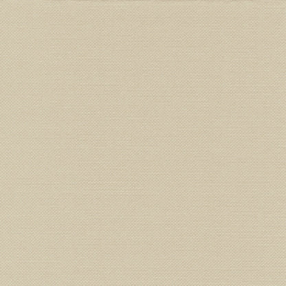 A bézs színű PAPSTAR 100 szalvéta „ROYAL Collection“ a PAPSTAR GmbH-tól közeli felvételen mutatja a finom szövésű struktúrát. Ezek a luxus szalvéták 40 x 40 cm-es formátumban magas minőségű anyagból készültek, simák és egyenletesek – tökéletesek elegáns környezetekhez.