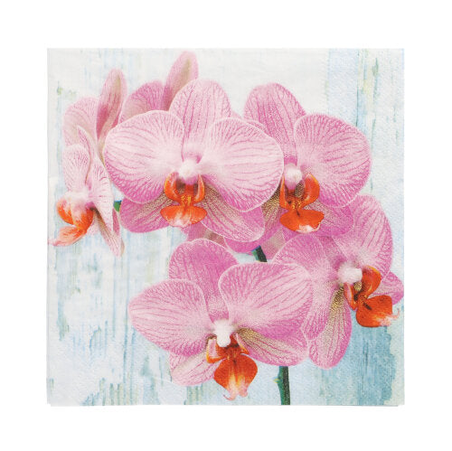 Közeli kép rózsaszín orchideákról narancssárga középpel világoskék-fehér háttéren díszíti a PAPSTAR 20 szalvétát, 33 cm x 33 cm, 3 rétegű, 2-es tervezési készlet a PAPSTAR GmbH-tól.