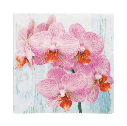 Közeli kép rózsaszín orchideákról narancssárga középpel világoskék-fehér háttéren díszíti a PAPSTAR 20 szalvétát, 33 cm x 33 cm, 3 rétegű, 2-es tervezési készlet a PAPSTAR GmbH-tól.
