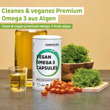Vegán Omega 3 kapszula algákból