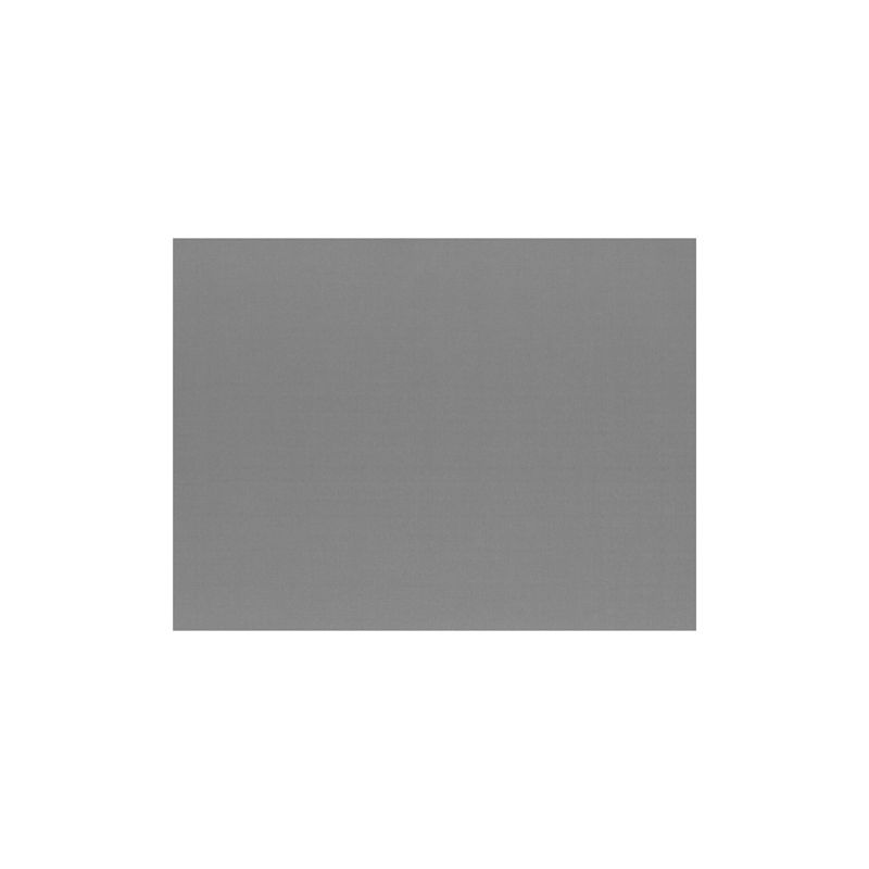 Ein schlichtes, unifarbenes graues PAPSTAR 100 Papiertischset (30 x 40 cm) der PAPSTAR GmbH steht mittig auf einem weißen Hintergrund und weist keine Muster, Strukturen oder Besonderheiten auf.