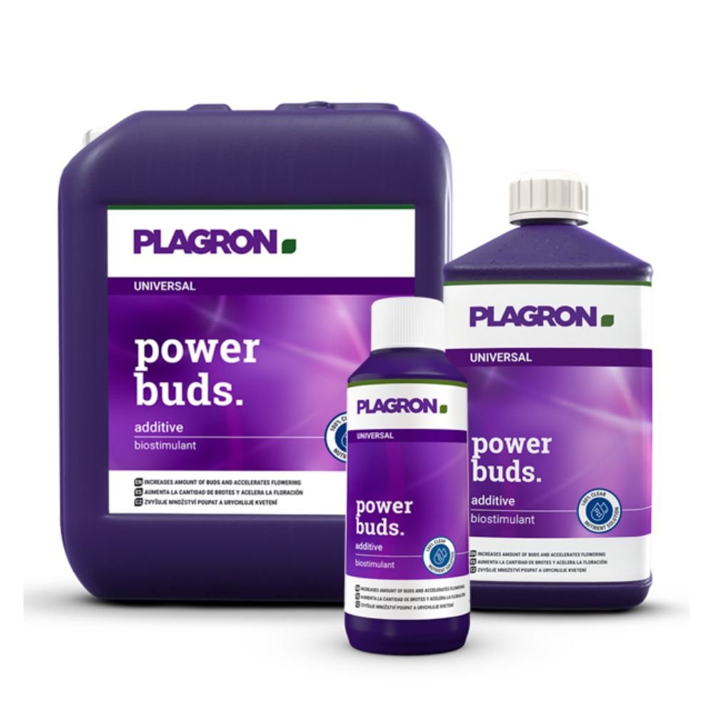 Abgebildet sind drei Behälter des Biostimulators Plagron Power Buds von Bertels B.V. mit violetten Etiketten und weißem Text zur Förderung der Blütenbildung: der größte links, der mittlere rechts und der kleinste in der Mitte.