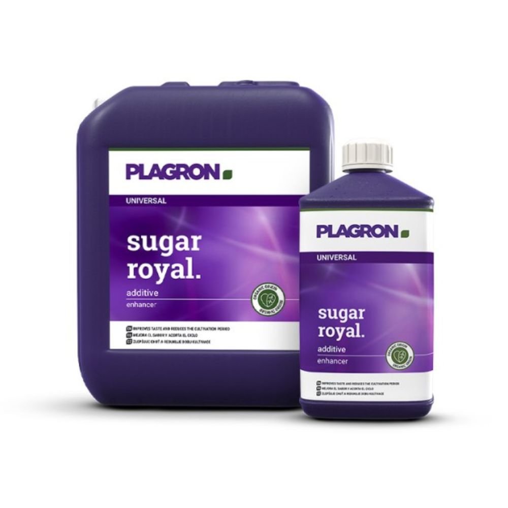 A képen két Plagron Sugar Royal - Prémium virágerősítő tartály látható a Bertels B.V.-től: egy nagyobb négyszögletes és egy kisebb hengeres, mindkettő élénk lila címkével, fehér szöveggel és zöld logóval, amely az esszenciális aminosavakkal dúsított minőséget garantálja.