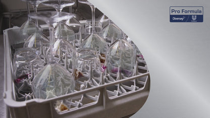 Sun Professional Realer Water Hartwasser, Saurer Clearer Canist (5 L)